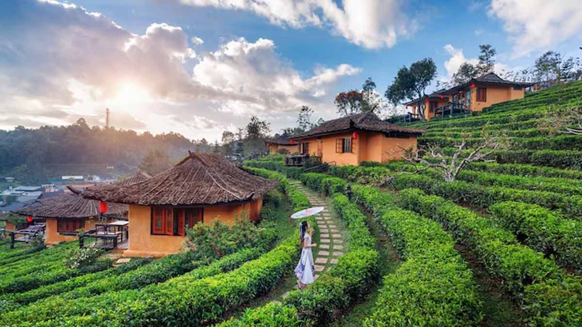 Kohima War Cemetery Camp Image 2