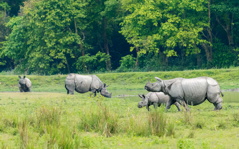 Kaziranga Majuli Tour Package (6D/5N)